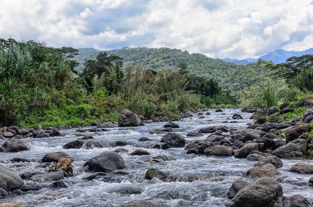 Jamaica riverside escape